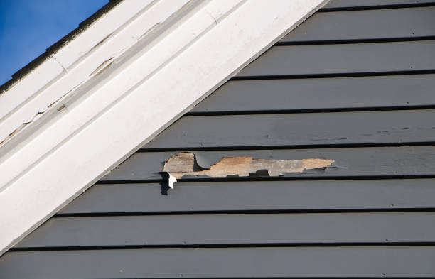 Best Siding Painting and Refinishing  in Smithfield, VA